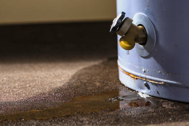 Best Flood restoration services  in Wasco, CA