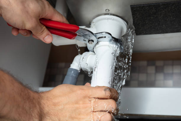 Best Mold removal after water damage  in Wasco, CA