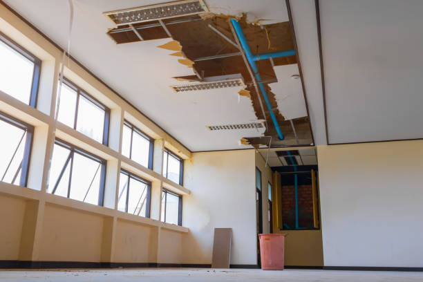 Best Carpet water damage restoration  in Wasco, CA