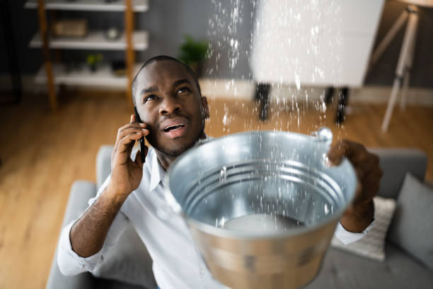 Best Water damage contractors near me  in Wasco, CA