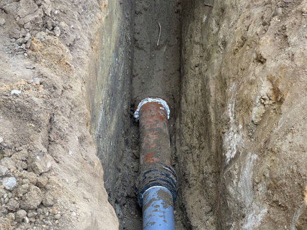 Best Flood damage cleanup  in Wasco, CA