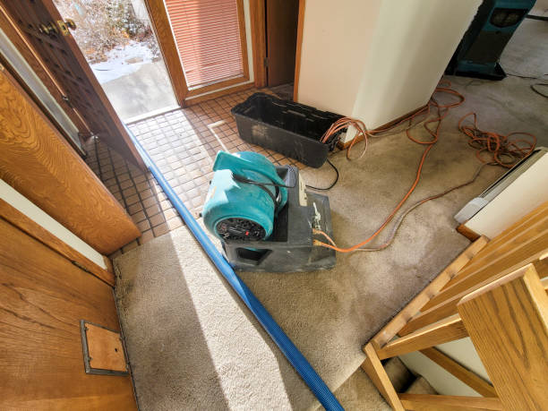 Best Commercial water damage restoration  in Wasco, CA