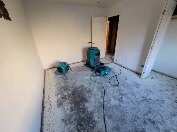 Best Water damage restoration near me  in Wasco, CA