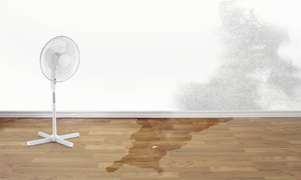 Best Water damage restoration near me  in Wasco, CA