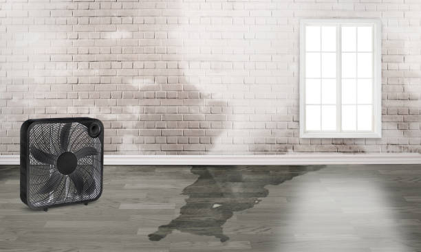 Best Water damage restoration cost  in Wasco, CA