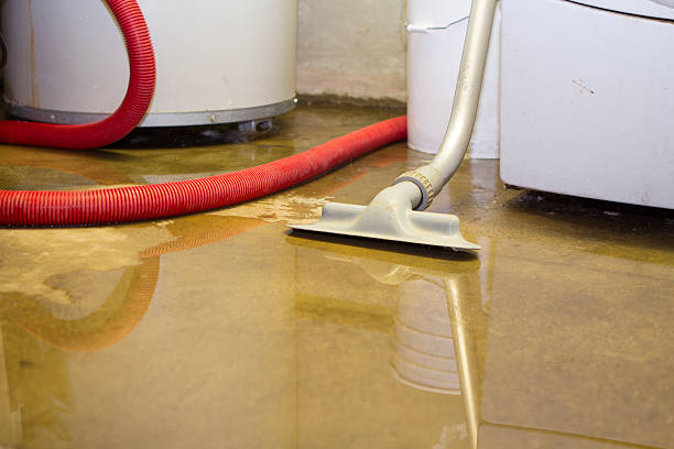 Best Water damage restoration near me  in Wasco, CA