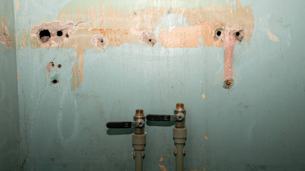 Best Fire Damage Restoration  in Wasco, CA